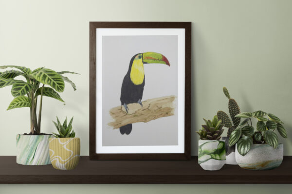 Ramphastos sulfuratus - FILE TO PRINT YOURSELF - Image 2